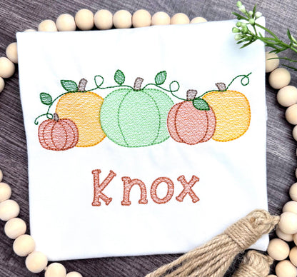 Kids Fall shirt, Personalized Pumpkin Patch Tshirt, Emroidered Pumpkins, Boy or Girl