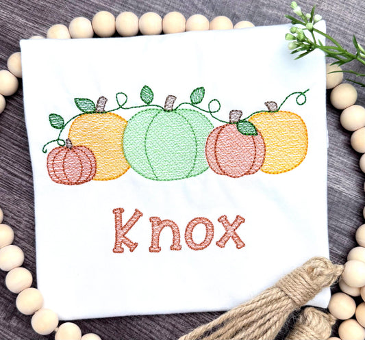 Kids Fall shirt, Personalized Pumpkin Patch Tshirt, Emroidered Pumpkins, Boy or Girl