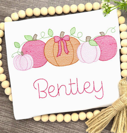 Girls Fall shirt, Personalized Pumpkin Patch Tshirt, Emroidered Pumpkins with Bow