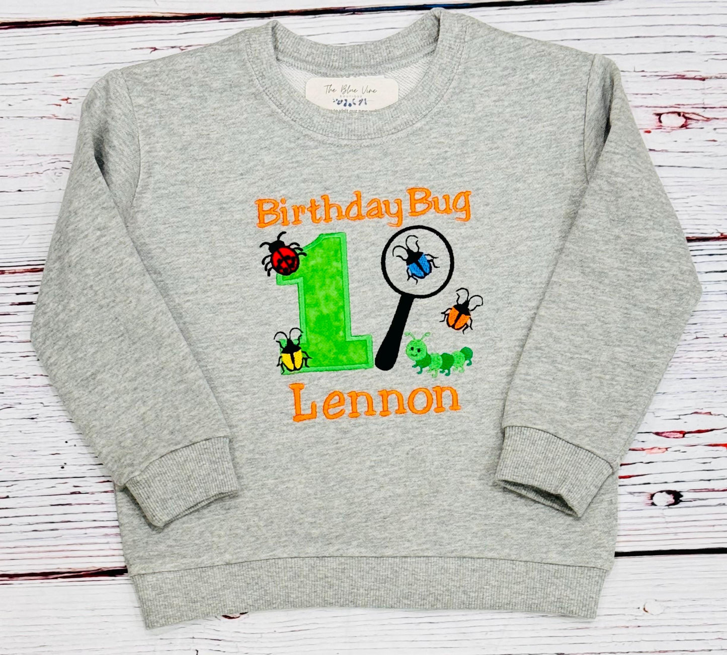 Bug Insect Birthday Shirt or Sweatshirt Insect 1st birthday shirt, 1st Birthday Bug Magnifying Glass, Any age 1 2 3 4 5 6 7 8 9