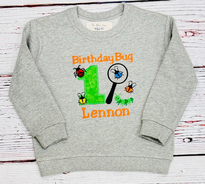 Bug Insect Birthday Shirt or Sweatshirt Insect 1st birthday shirt, 1st Birthday Bug Magnifying Glass, Any age 1 2 3 4 5 6 7 8 9