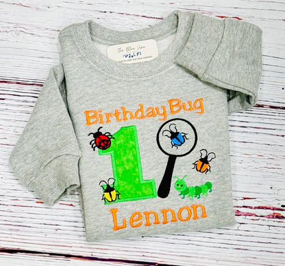 Bug Insect Birthday Shirt or Sweatshirt Insect 1st birthday shirt, 1st Birthday Bug Magnifying Glass, Any age 1 2 3 4 5 6 7 8 9