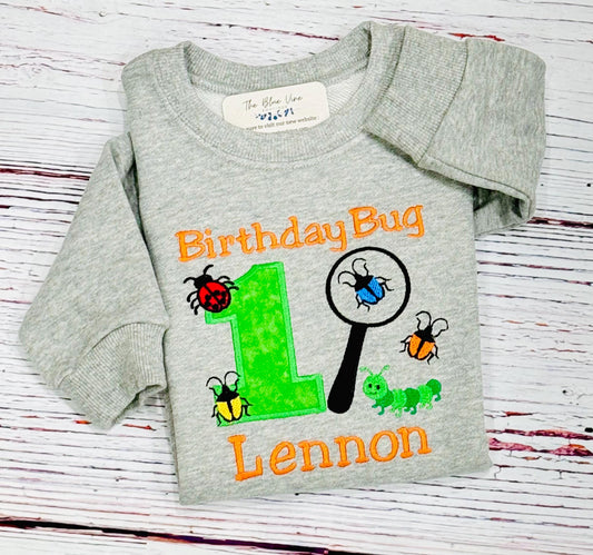 Bug Insect Birthday Shirt or Sweatshirt Insect 1st birthday shirt, 1st Birthday Bug Magnifying Glass, Any age 1 2 3 4 5 6 7 8 9